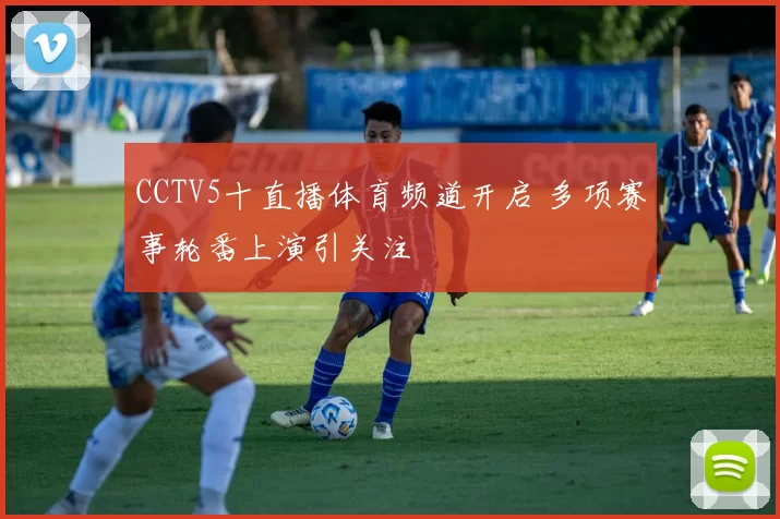 CCTV5十直播体育频道开启 多项赛事轮番上演引关注