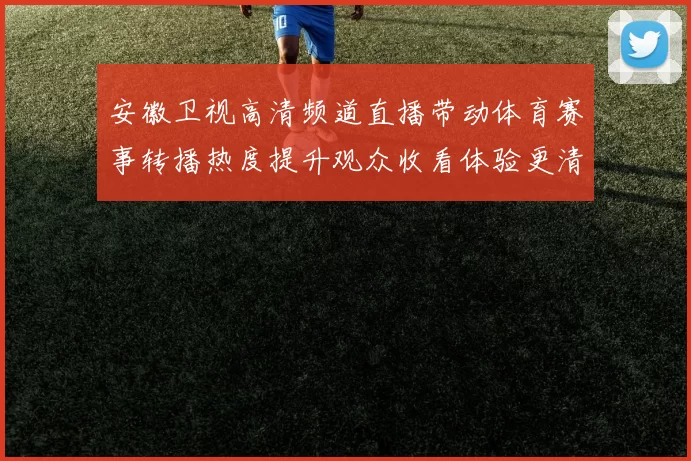 安徽卫视高清频道直播带动体育赛事转播热度提升观众收看体验更清晰